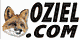 Concepteur r�alisateur du site